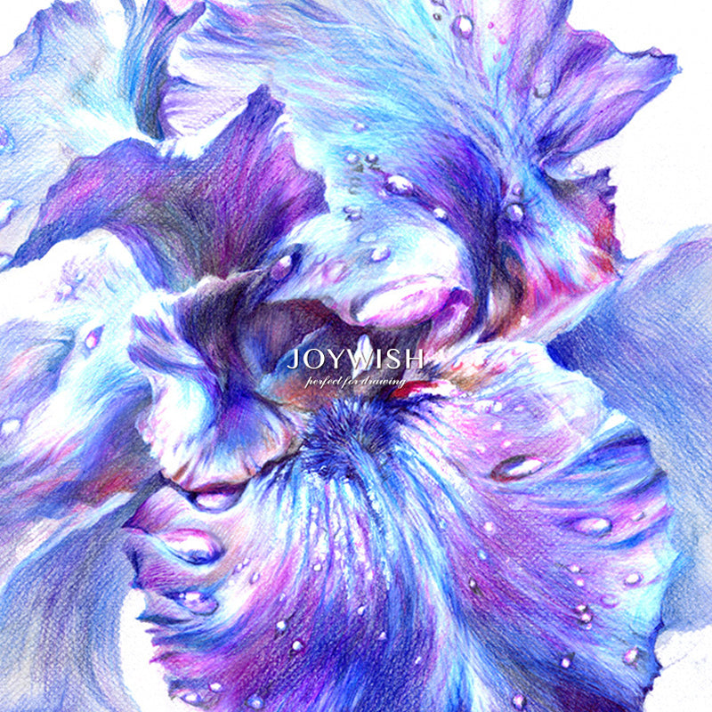 JOYWISH Colored Pencils 12/18/24/36/48/72 Colors