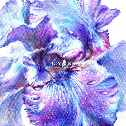 JOYWISH Colored Pencils 12/18/24/36/48/72 Colors